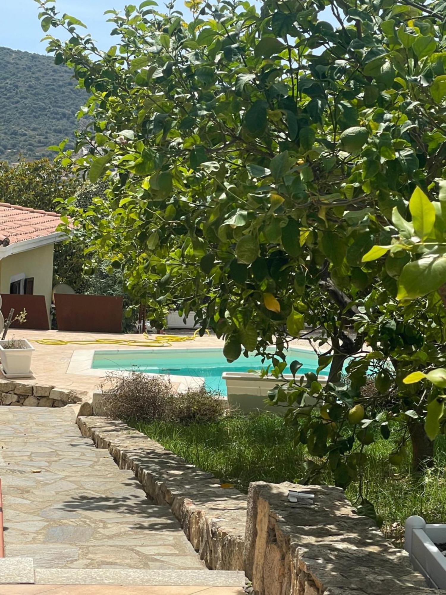 Sa Murta Bianca Guesthouse Budoni Kültér fotó