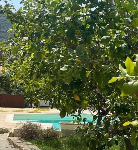 Sa Murta Bianca Guesthouse Budoni Kültér fotó